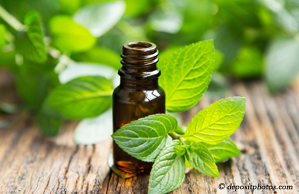 New Roads peppermint pain relieving benefits