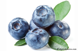 New Roads chiropractic and nutritious blueberries